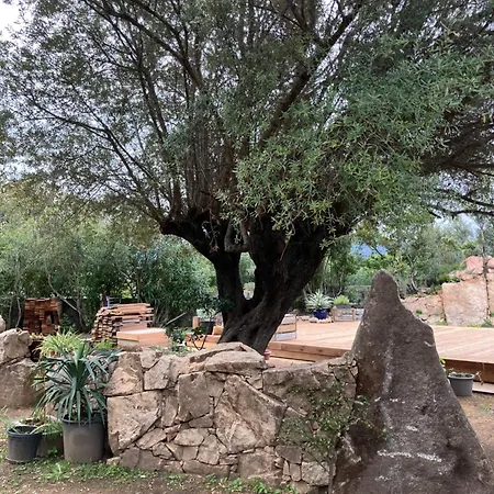 Elegante Vue A 300 M Du Centre ,jardin Clos, Terrasse, Parking Gratuit,2 Chambres,2 Sdb Vila Porto-Vecchio (Corsica)